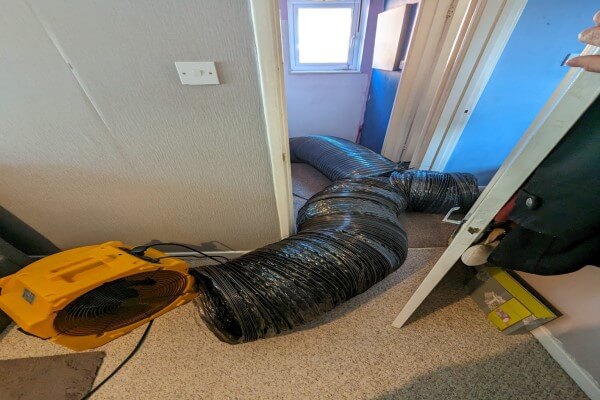 PEST CONTROL WATFORD, Hertfordshire. Services: Bed Bug Heat Treatments. Watford's Premier Bed Bug Heat Treatment Specialists